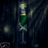 In the Woods - Hourglasscapes