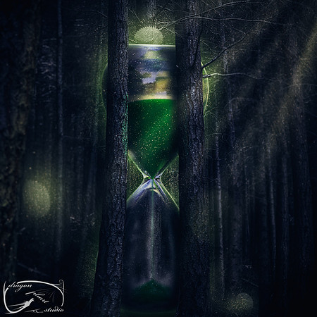 In the Woods - Hourglasscapes