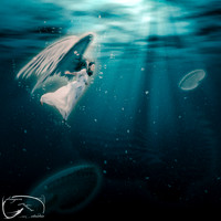Underwater Angel - Dreamscapes