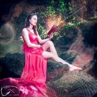 Reading a Book