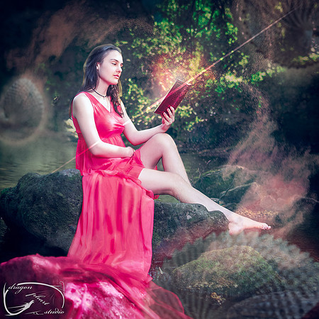 Reading a Book