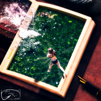Diary - A Summer Day
