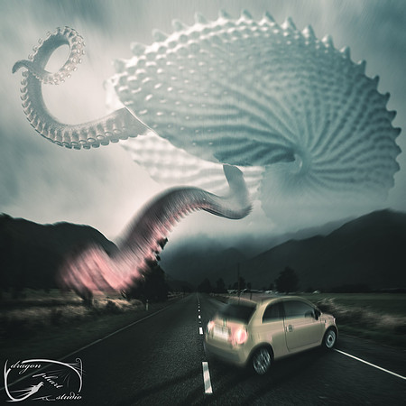 Attack of Paper Nautilus