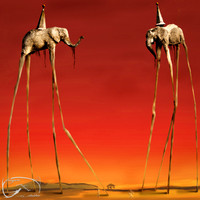 Remake "Elephants"